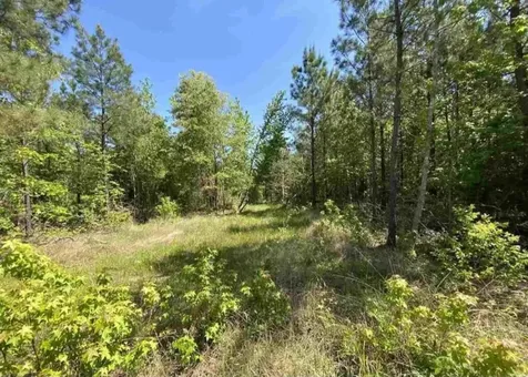 Tbd County Road 2907 Hughes Springs TX 75656