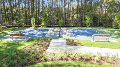 5840 Trout Lily Drive Montgomery TX 77316