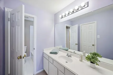 3007 Sycamore Tree Court Houston TX 77345