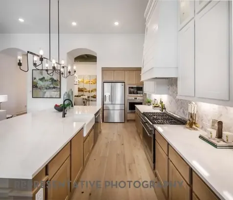 1219 Basset Hound Drive Montgomery TX 77316