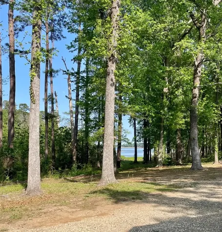 5972 State Highway 147 Zavalla TX 75980
