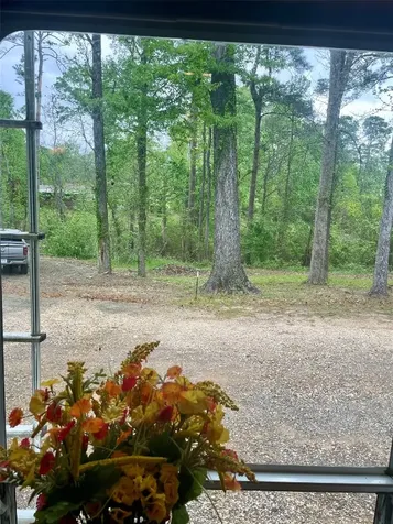 5972 State Highway 147 Zavalla TX 75980