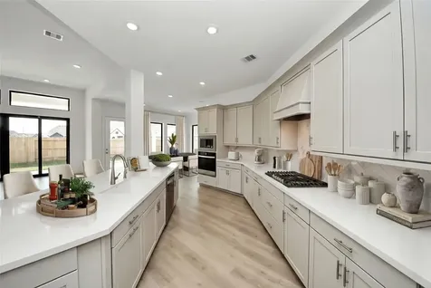 17016 Sweet Iris Court Conroe TX 77302