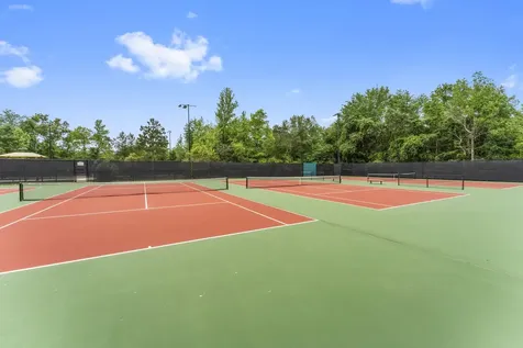 113 Logan Pass Court Montgomery TX 77316