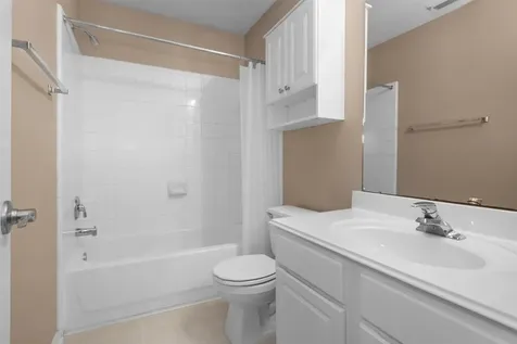 191 Blushwood Place The Woodlands TX 77382