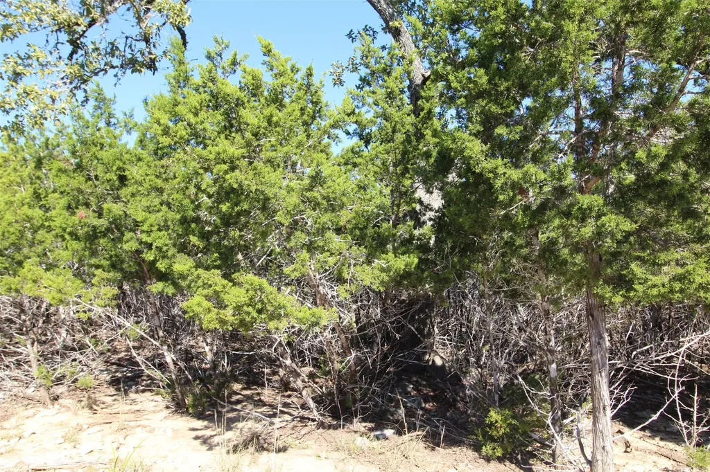 357 Big Bend Drive Canyon Lake TX 78133