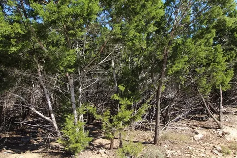 357 Big Bend Drive Canyon Lake TX 78133