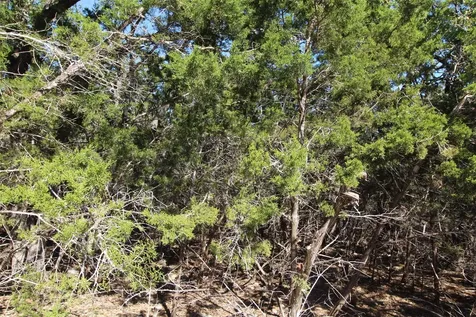 357 Big Bend Drive Canyon Lake TX 78133