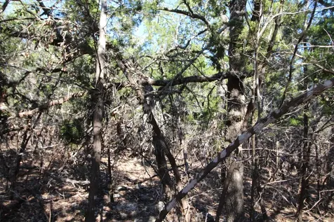 357 Big Bend Drive Canyon Lake TX 78133