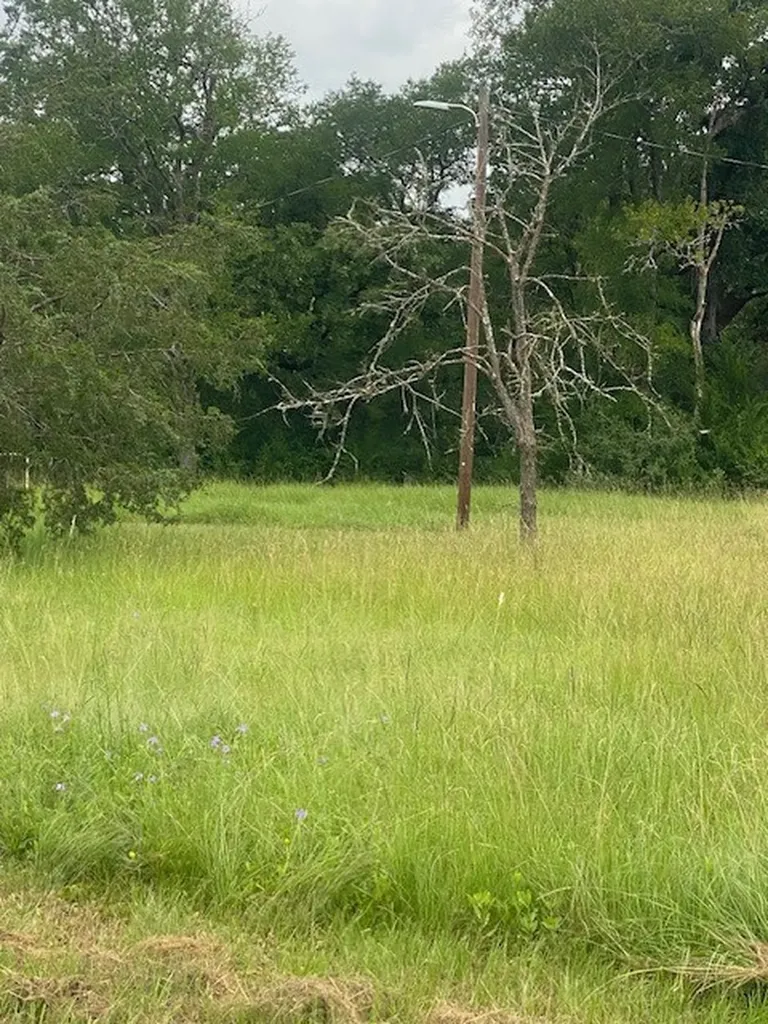 3284 County Road 117 Bedias TX 77831