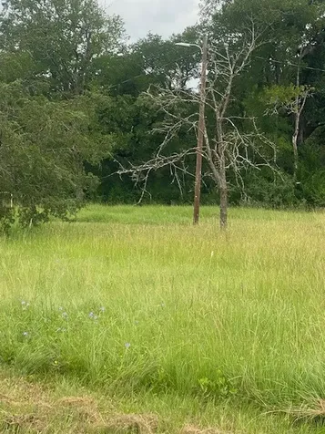 3284 County Road 117 Bedias TX 77831