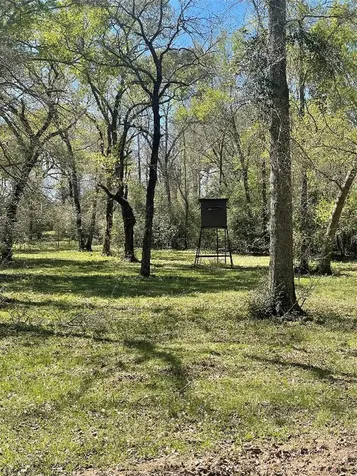 9877 County Road 112 Centerville TX 75833