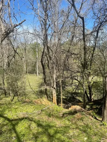 9877 County Road 112 Centerville TX 75833