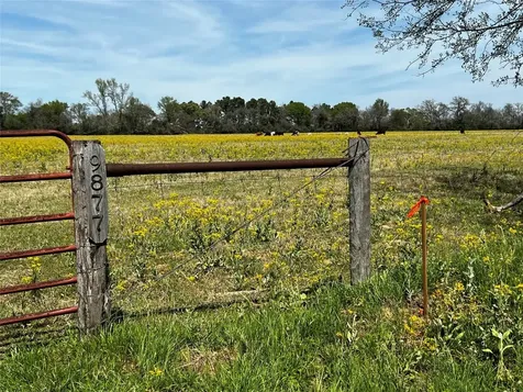 9877 County Road 112 Centerville TX 75833