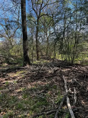 9877 County Road 112 Centerville TX 75833