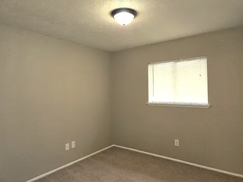 18215 Tall Cypress Drive Spring TX 77388