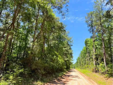 0000000 Morris Lane Livingston TX 77351
