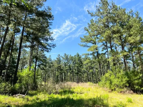 0000000 Morris Lane Livingston TX 77351