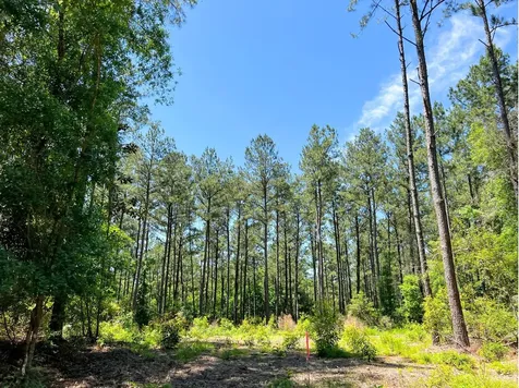 0000000 Morris Lane Livingston TX 77351