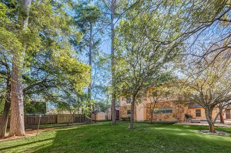 511 Chateau Woods Parkway Drive Conroe TX 77385