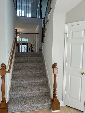 3419 Scenic Elm Street Houston TX 77059