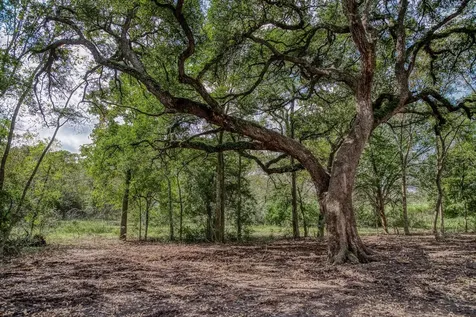 Tbd Sun Oil Road Brenham TX 77833