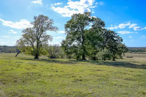 125 Acres Spring Branch Road Montgomery TX 77316