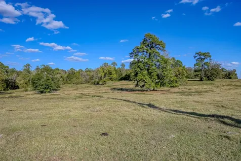 125 Acres Spring Branch Road Montgomery TX 77316
