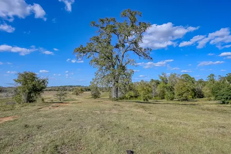 125 Acres Spring Branch Road Montgomery TX 77316
