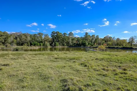 125 Acres Spring Branch Road Montgomery TX 77316