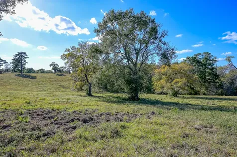 125 Acres Spring Branch Road Montgomery TX 77316
