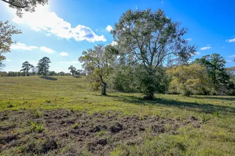 125 Acres Spring Branch Road Montgomery TX 77316