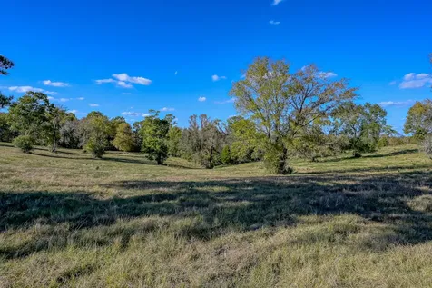 125 Acres Spring Branch Road Montgomery TX 77316