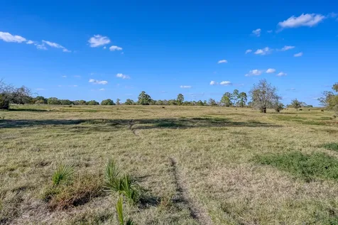 125 Acres Spring Branch Road Montgomery TX 77316