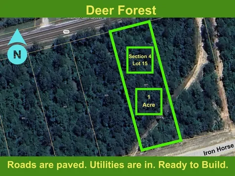 327 Iron Horse Road Willis TX 77378