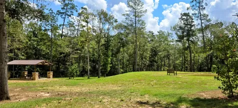 327 Iron Horse Road Willis TX 77378