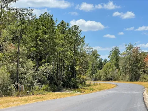 327 Iron Horse Road Willis TX 77378