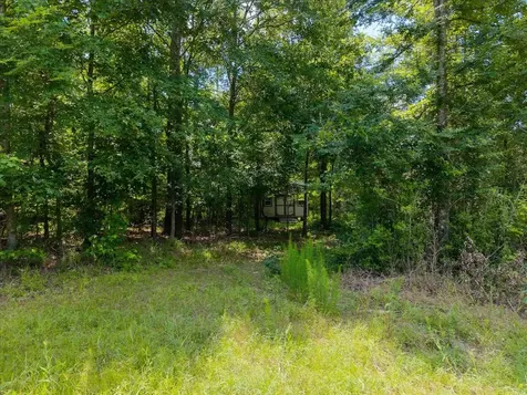 Tbd Williams Road Garrison TX 75946