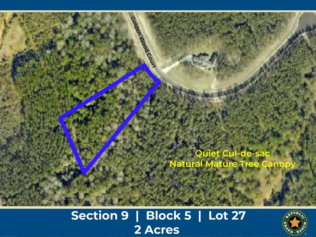 16247 Golden Wood Court Willis TX 77378