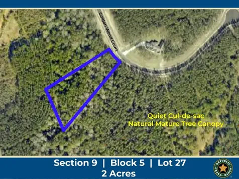 16247 Golden Wood Court Willis TX 77378