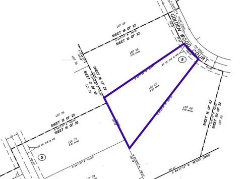 16247 Golden Wood Court Willis TX 77378