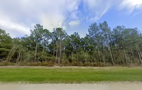 16247 Golden Wood Court Willis TX 77378