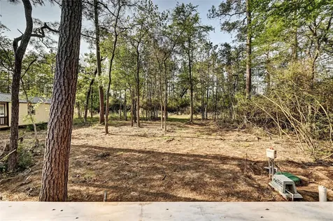 7996 Tawnyberry Lane Plantersville TX 77363