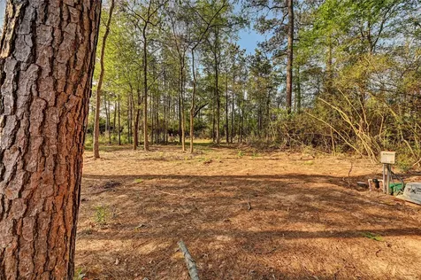 7996 Tawnyberry Lane Plantersville TX 77363