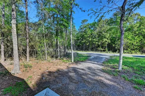 7996 Tawnyberry Lane Plantersville TX 77363