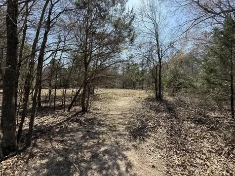 Tbd Tract14 Fcr 445 Fairfield TX 75840