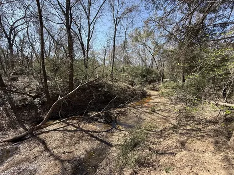 Tbd Tract14 Fcr 445 Fairfield TX 75840
