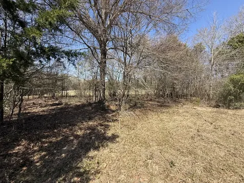 Tbd Tract14 Fcr 445 Fairfield TX 75840