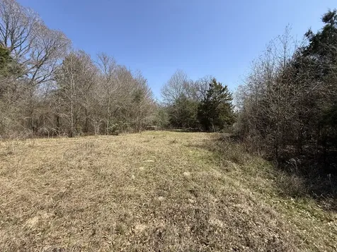 Tbd Tract14 Fcr 445 Fairfield TX 75840