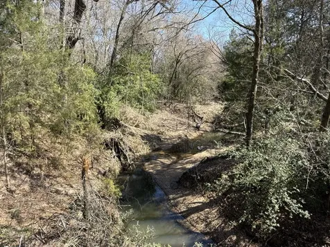 Tbd Tract14 Fcr 445 Fairfield TX 75840